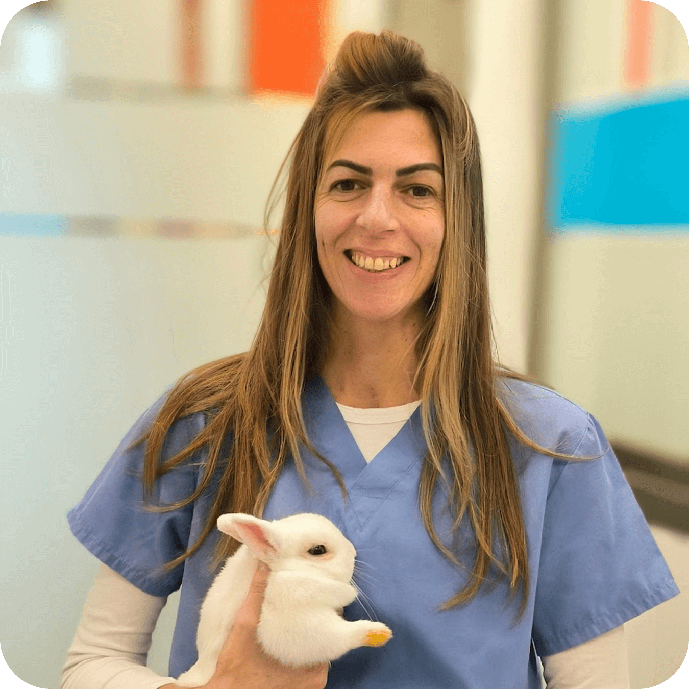 Romina Ferrer Baer Veterinaria