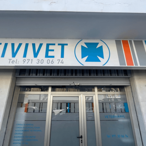 entrada Eivivet clinica veterinaria