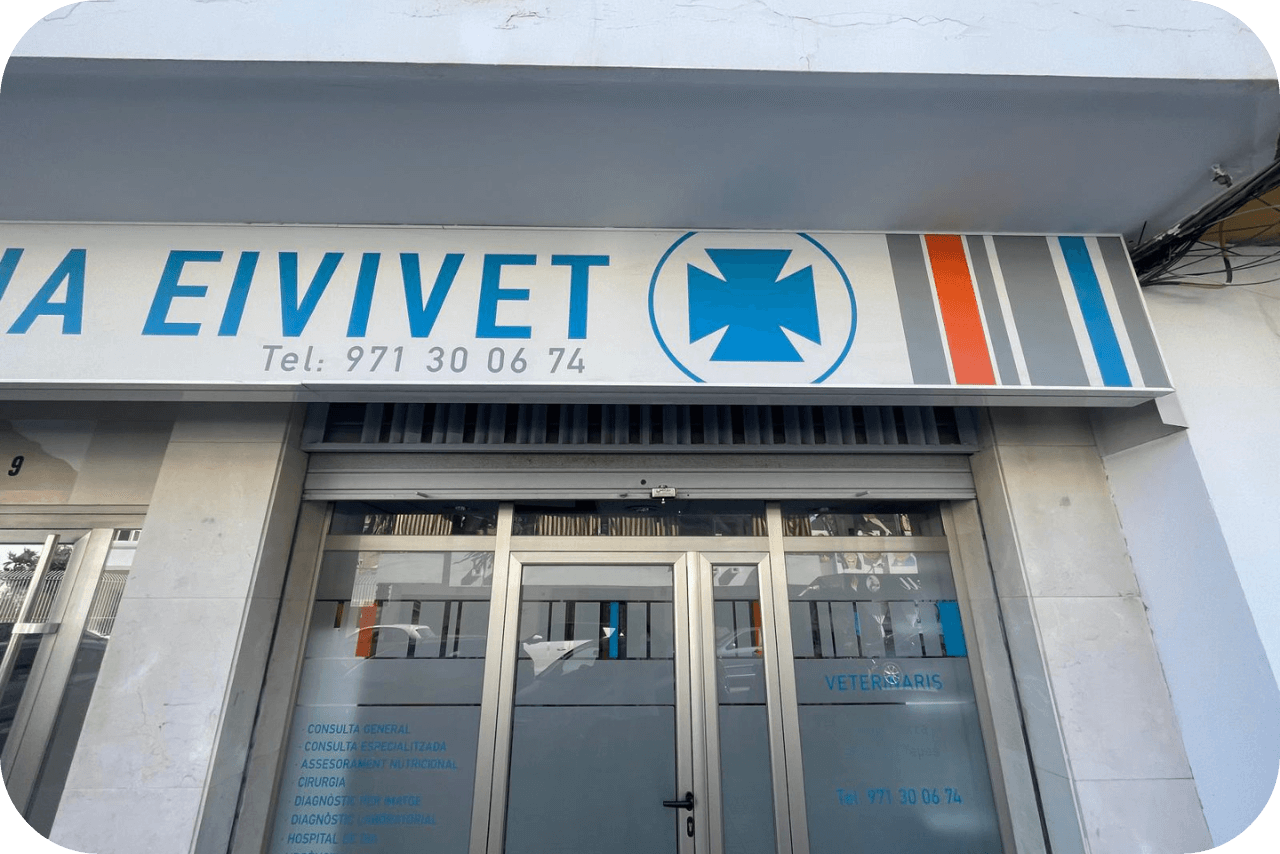 entrada Eivivet clinica veterinaria