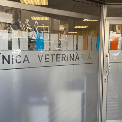 entrada veterinario Ibiza