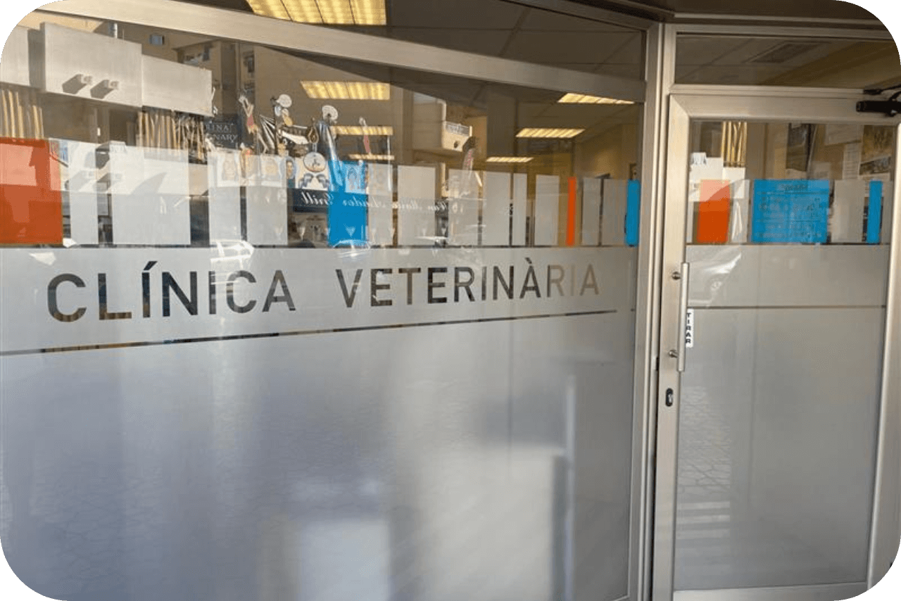 entrada veterinario Ibiza